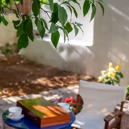 Casa Di Medici - Jeanne *